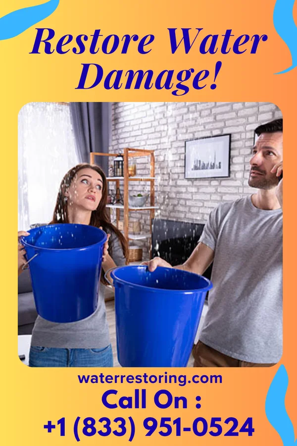 water restoration Reliable Flood Recovery Company Blissfield
