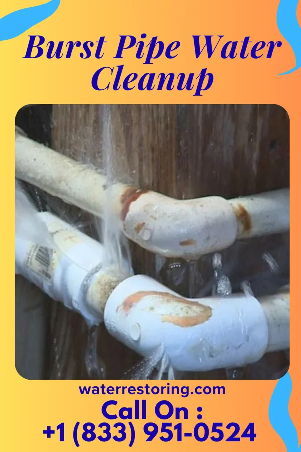 Burst Pipe Water Cleanup in Blissfield, MI