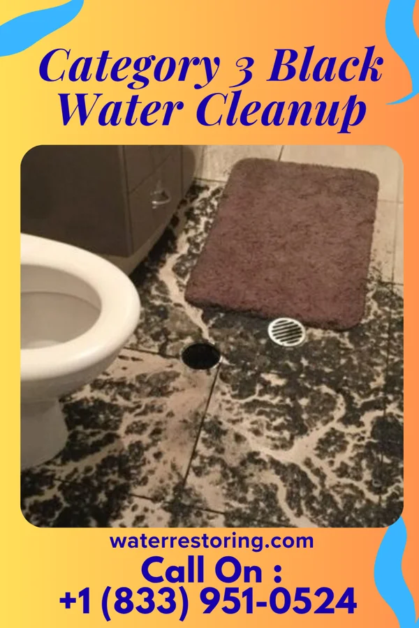 Category 3 Black Water Cleanup in Blissfield, MI