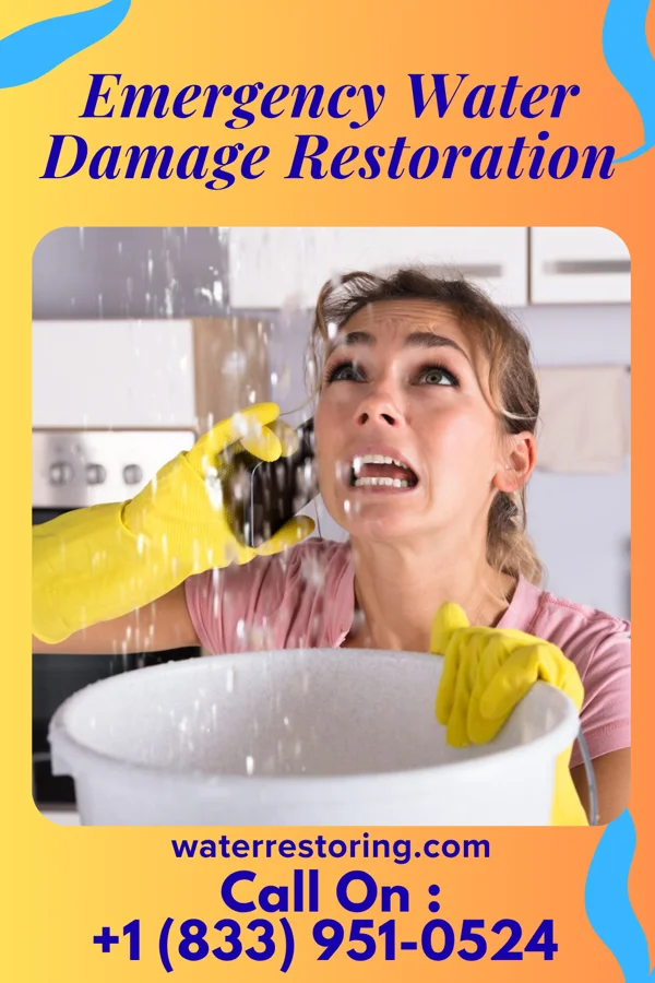 Emergency Water Damage Restoration in Blissfield, MI
