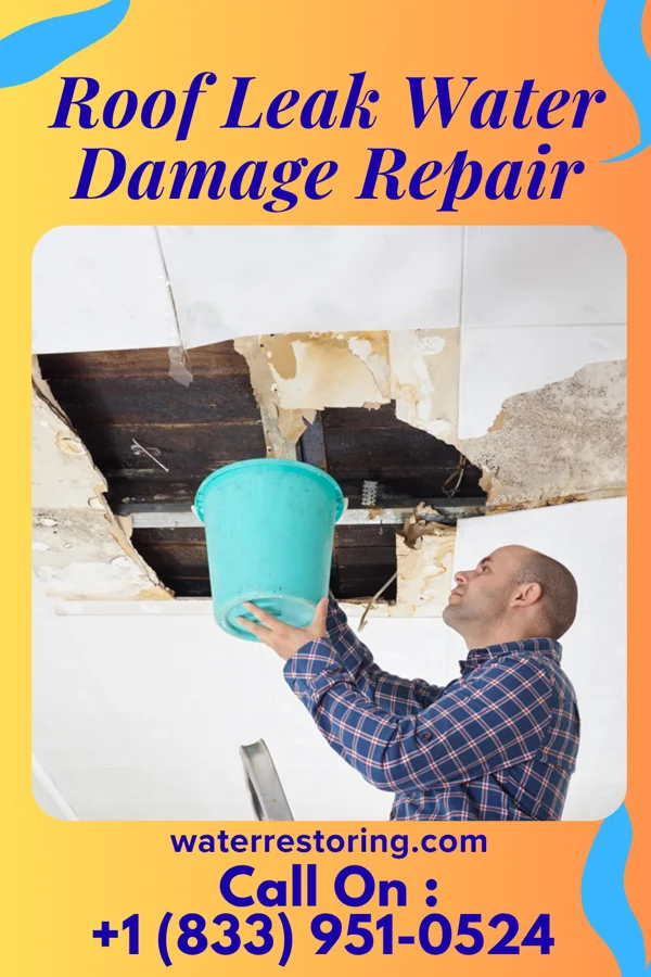Roof Leak Water Damage Repair in Blissfield, MI