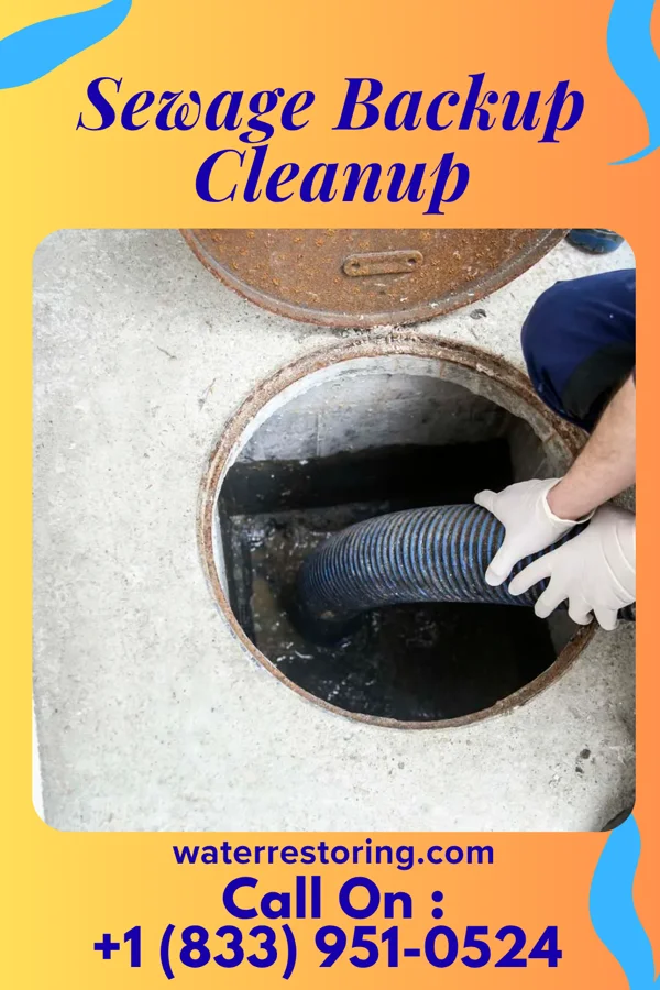 Sewage Backup Cleanup in Blissfield, MI