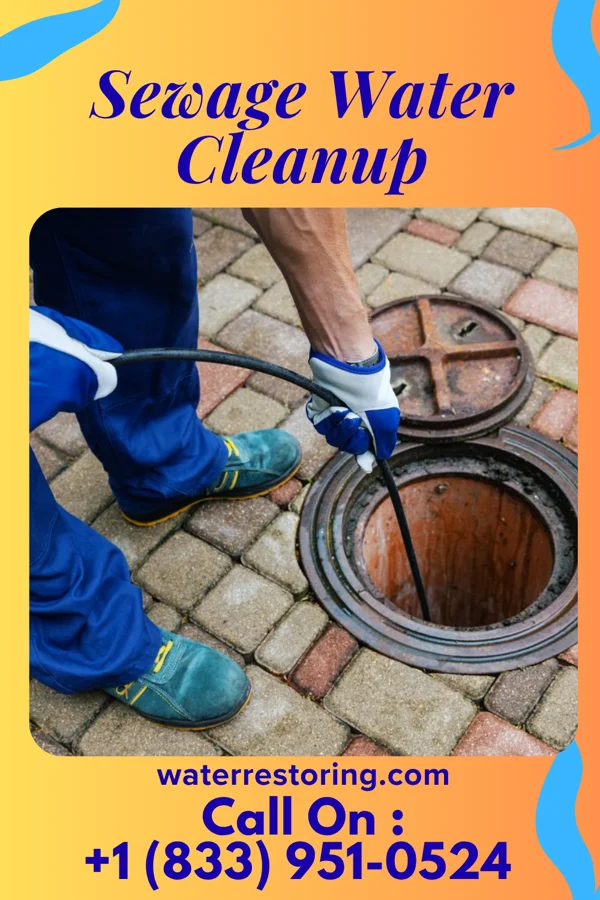 Sewage Water Cleanup in Blissfield, MI